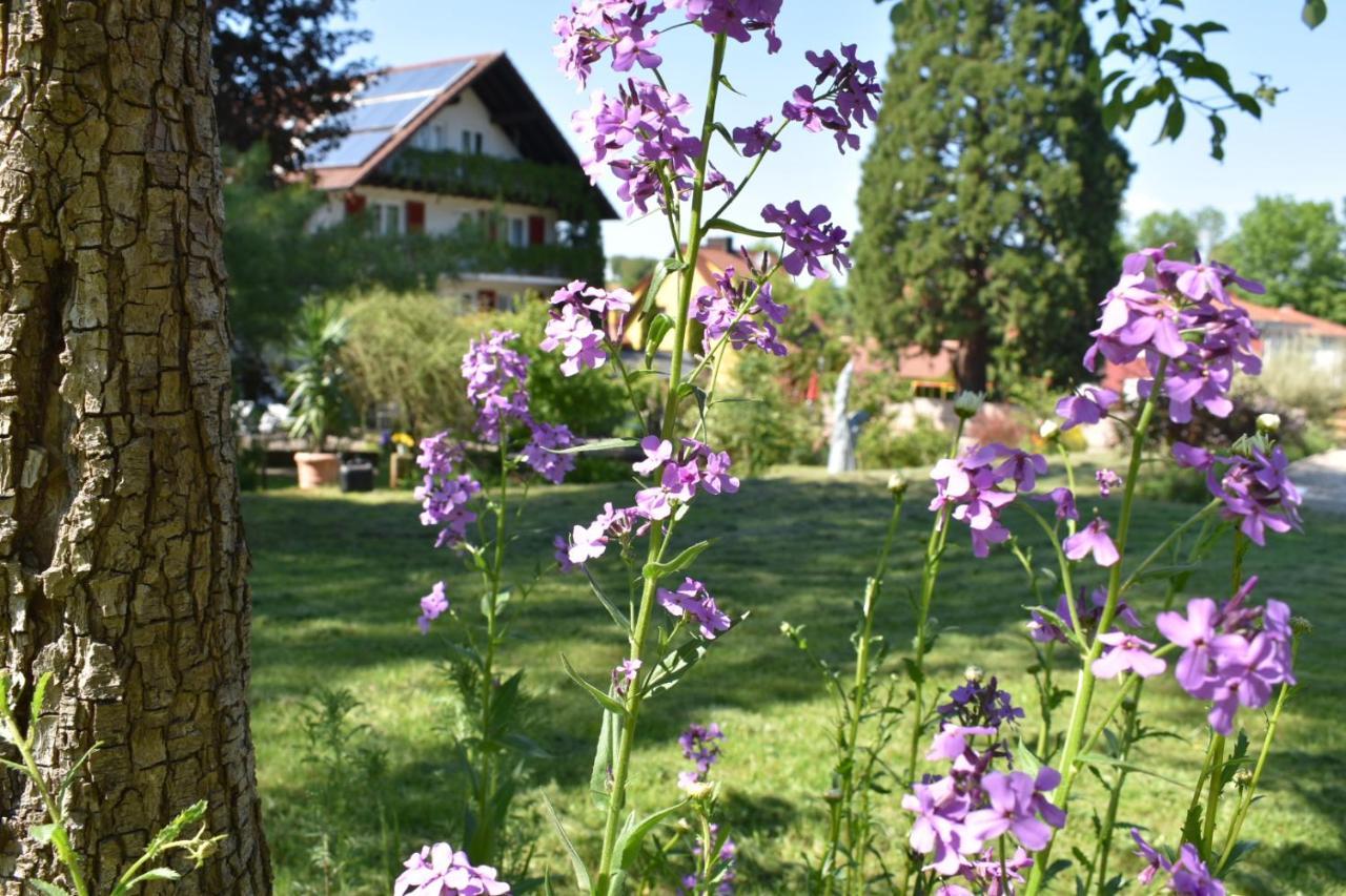 Hotel Kamps Ehrstadt Экстерьер фото